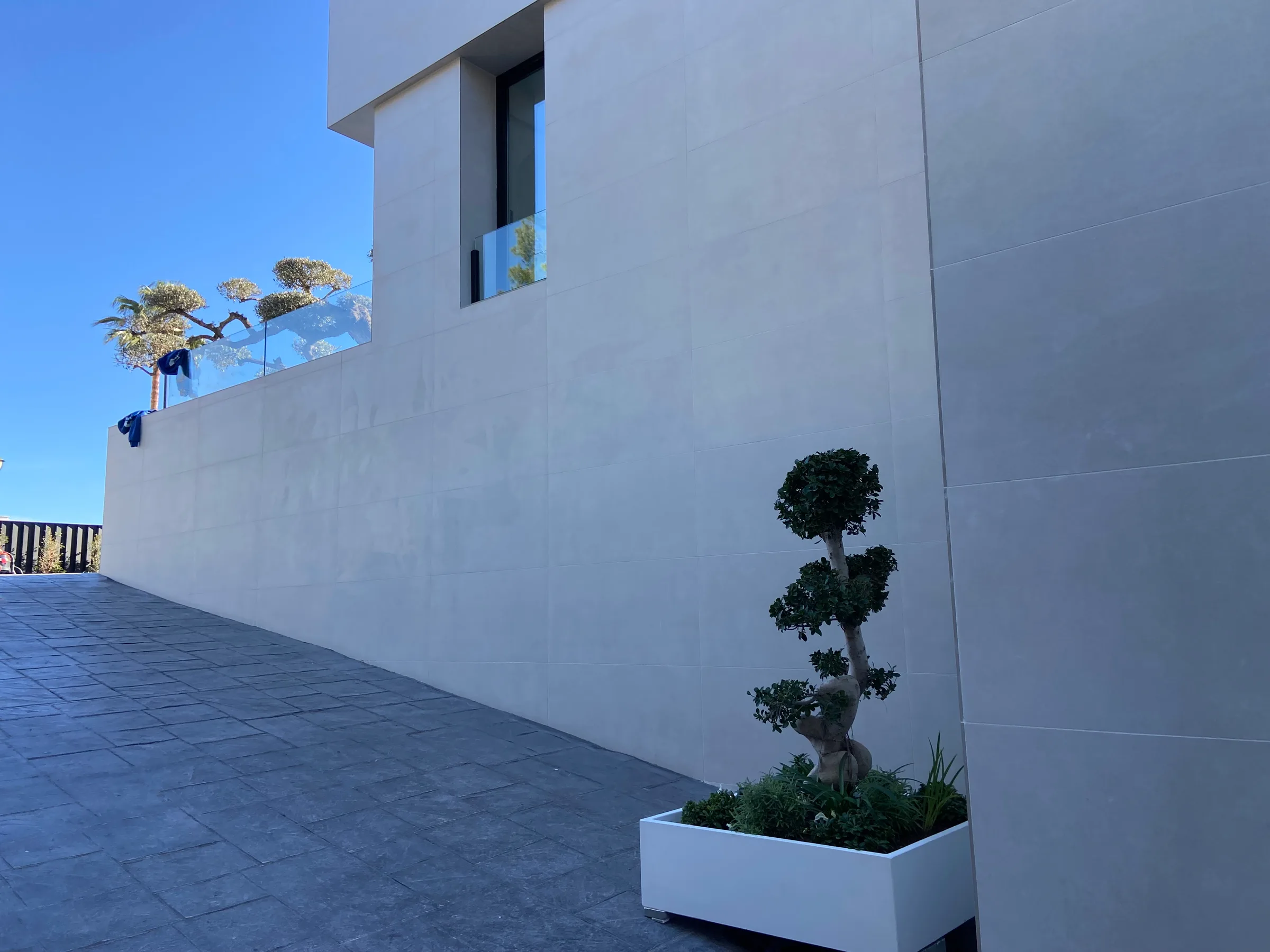 Fachada revestida en gran formato con jardinera de bonsáis