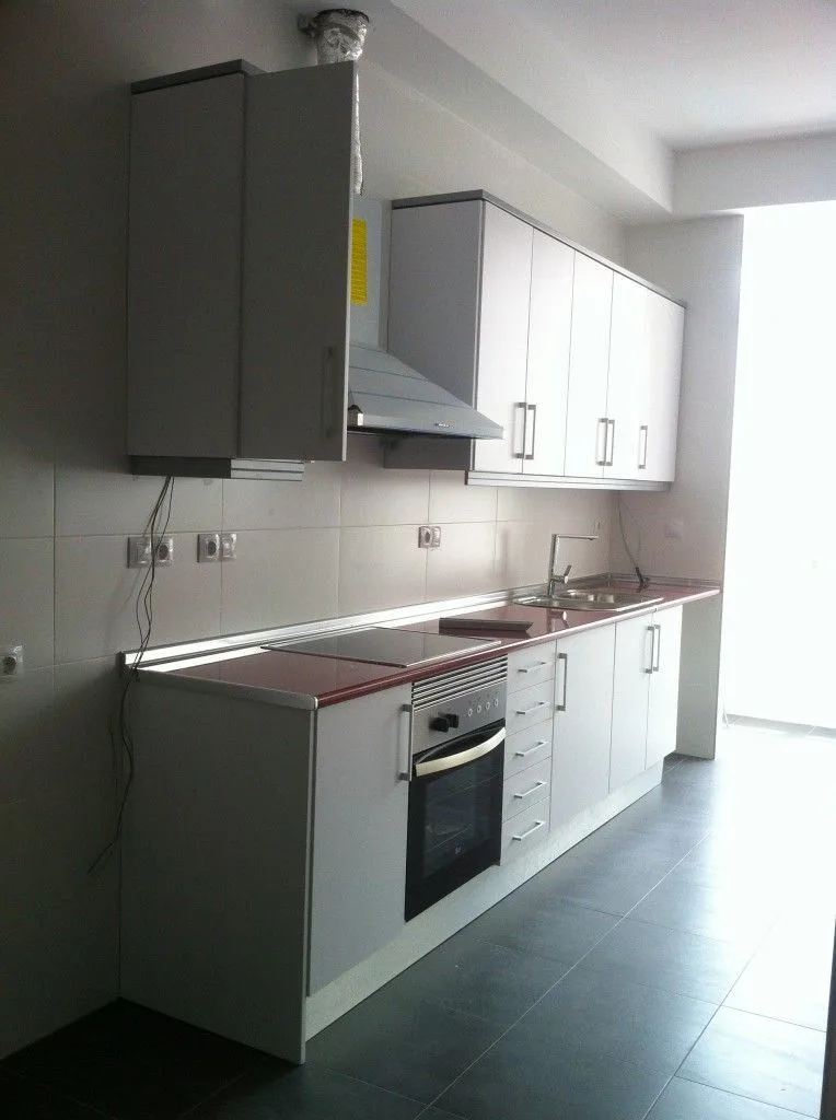 Cocina en línea, con la placa, el horno y la campana
